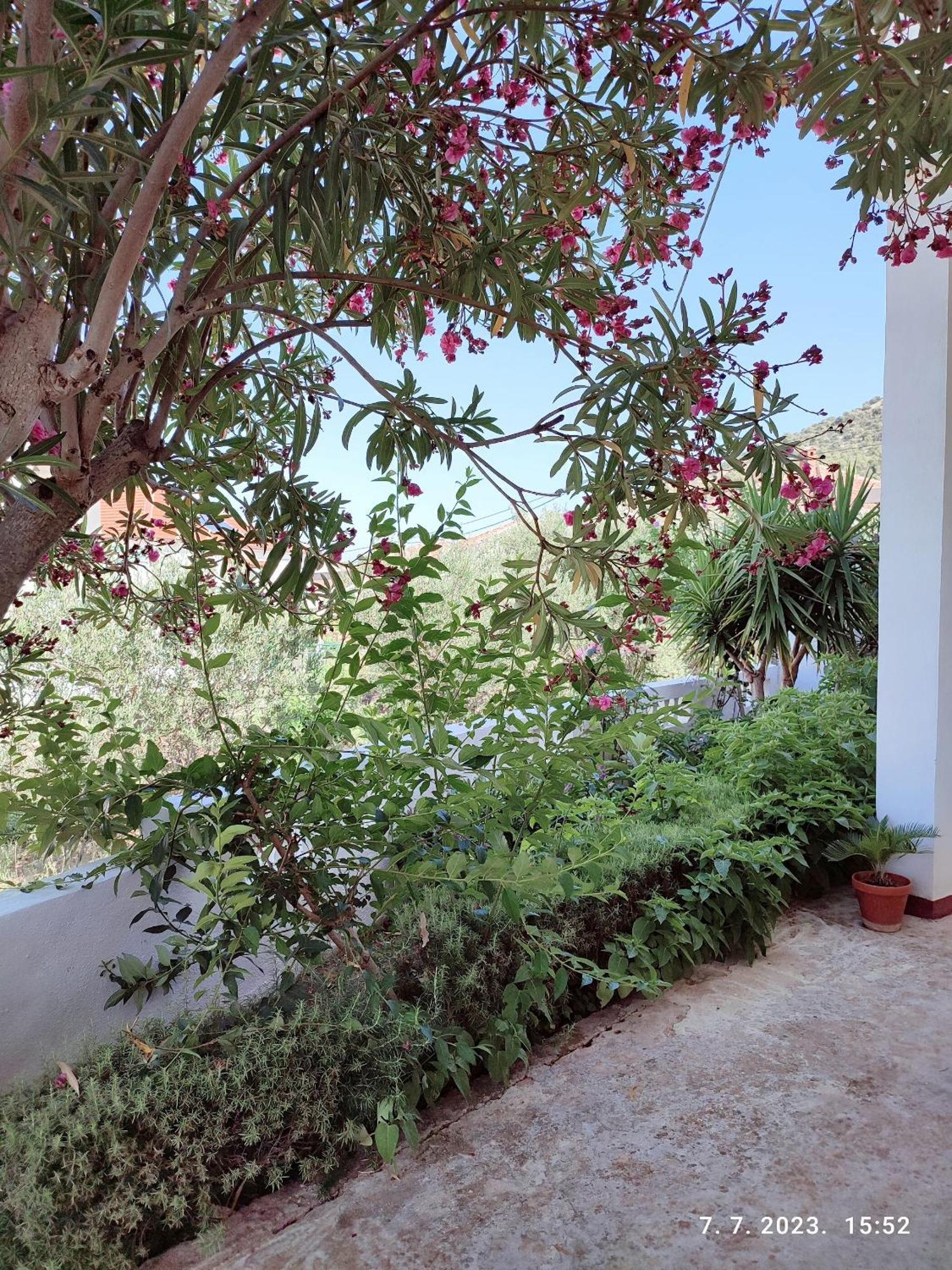 Apartment Slaven Vinišće 외부 사진